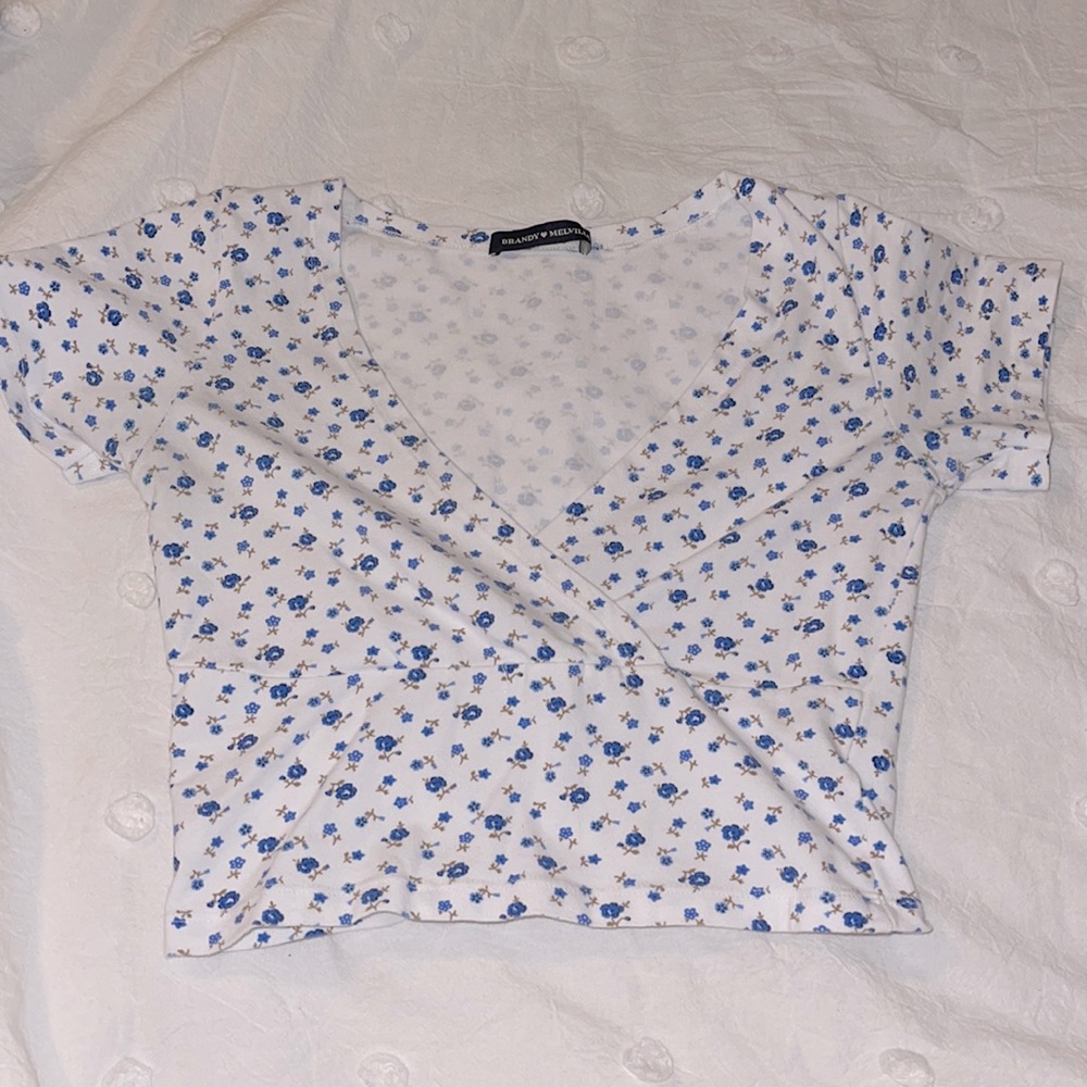 brandy melville crop top